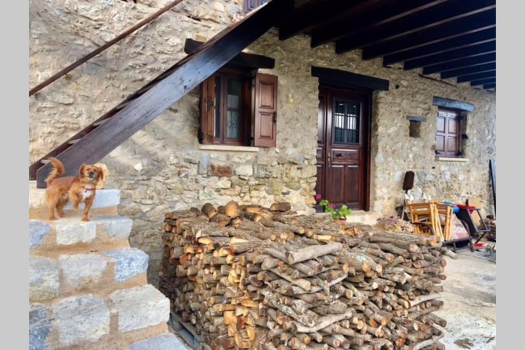 Periklis Guesthouse Anavriti. Sparta Exterior photo